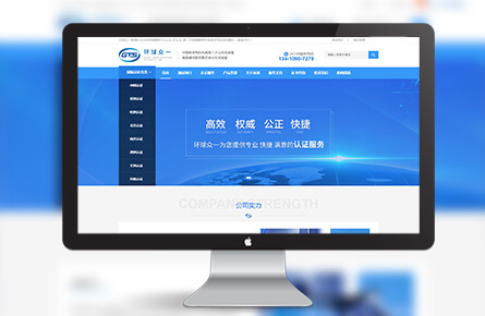 營銷網站案例-深圳市環(huán)球眾一科技有限公司